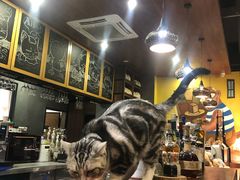 -咖法森林·咖啡  酒吧(天河店)