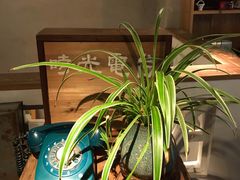 -时光花园(白鹭洲店)