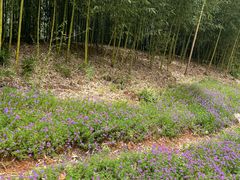 -三国赤壁古战场