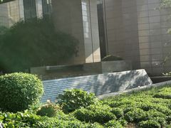 -新都绿城喜来登酒店大堂吧