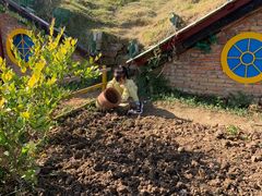 -武汉紫薇都市田园