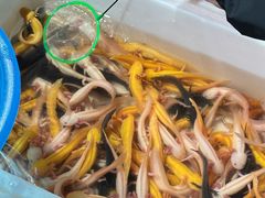 -中环花鸟鱼虫市场