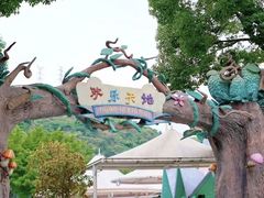 -温州乐园