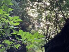 -龙门涧景区