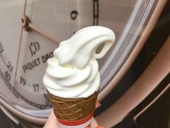 -富豪雪糕车流动点(尖沙咀店)