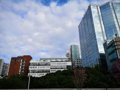 -九龙公园