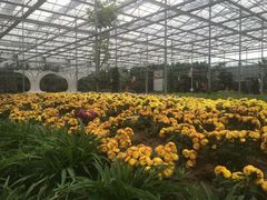 -龙达温泉生态城
