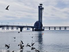 -欣欣餐厅·大连老菜(中山区解放路武昌街店)