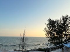 -广东惠东海龟国家级自然保护区