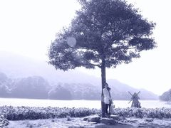 -广州市石门国家森林公园