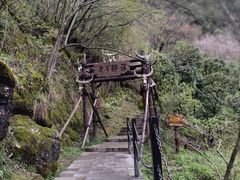 -神农架景区