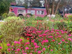 -铁山坪森林公园