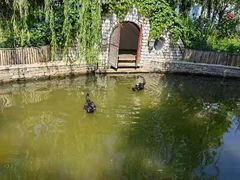 -南宫五洲植物乐园