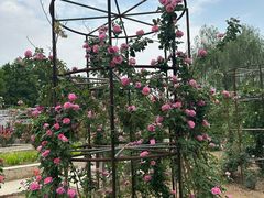 -石家庄市植物园