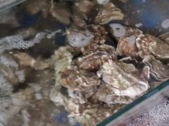 -雅逸居海鲜小厨