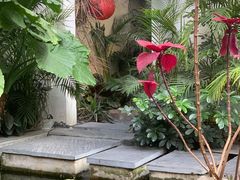 -漫笙舍Manse·咖啡·民宿