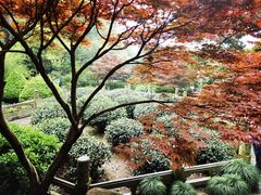 -十八棵（老龙井）御茶园(老龙井店)