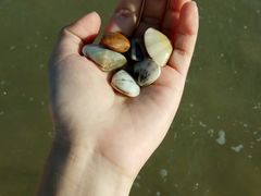 -六鳌翡翠湾滨海度假景区
