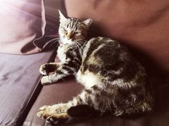 -凡人&庄阿姨的辣(万寿亭店)