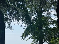 -狼山风景名胜区