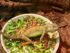 -上海大自然野生昆虫馆