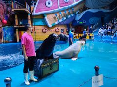 -烟台海昌鲸鲨海洋公园