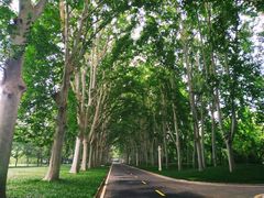 -河南省黄河迎宾馆