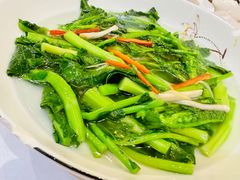板蓝根菜-顺德渔村·岭南一号