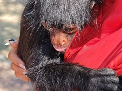 -水上乐园·欢乐世界