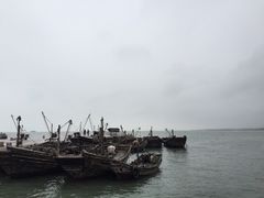 -日照世帆赛基地