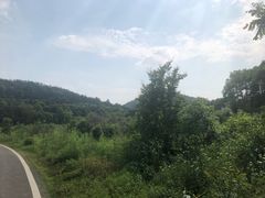 -青龙山国家森林公园