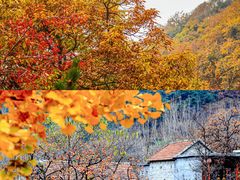-沂蒙山旅游区龟蒙景区