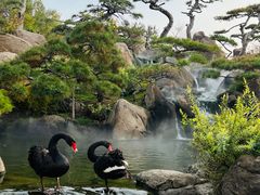 -罗红摄影艺术馆