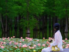 -白鹭湾湿地公园