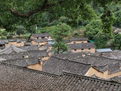 -杨家堂村