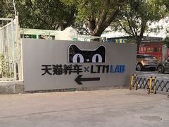 -天猫养车贴膜轻改·蓝电(优匹康桥东路店)