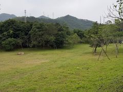-田心森林公园