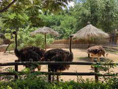 -北京野生动物园