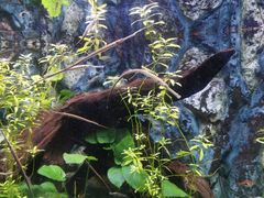 -上海海洋水族馆