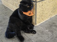 -红跑车蛋糕世界(龙湖杭州西溪天街店)