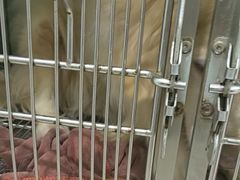 -佳雯宠物医院·皮肤科·内外科(春晓路分院)