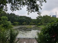 -云溪植物园