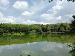 -广州市白云山风景名胜区