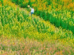 -中国天府农业博览园