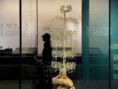 -广西壮族自治区博物馆