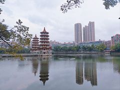 -宝岛公园