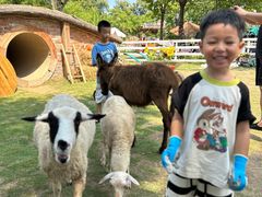 -HERRE·FARM 赫尔露营农场·团建聚会包场