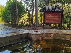 -森波拉火山温泉