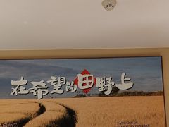 -杨厨的田园饭店(长城路店)