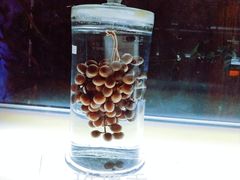 -青岛葡萄酒博物馆